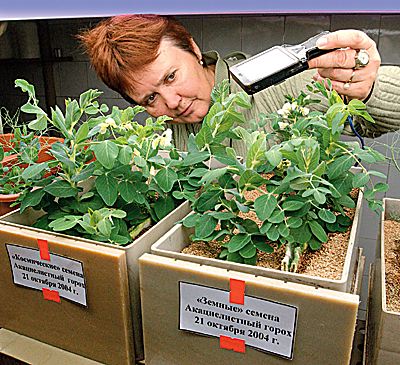 ...��������� �� �����������... (����: ���� ������/����-����)